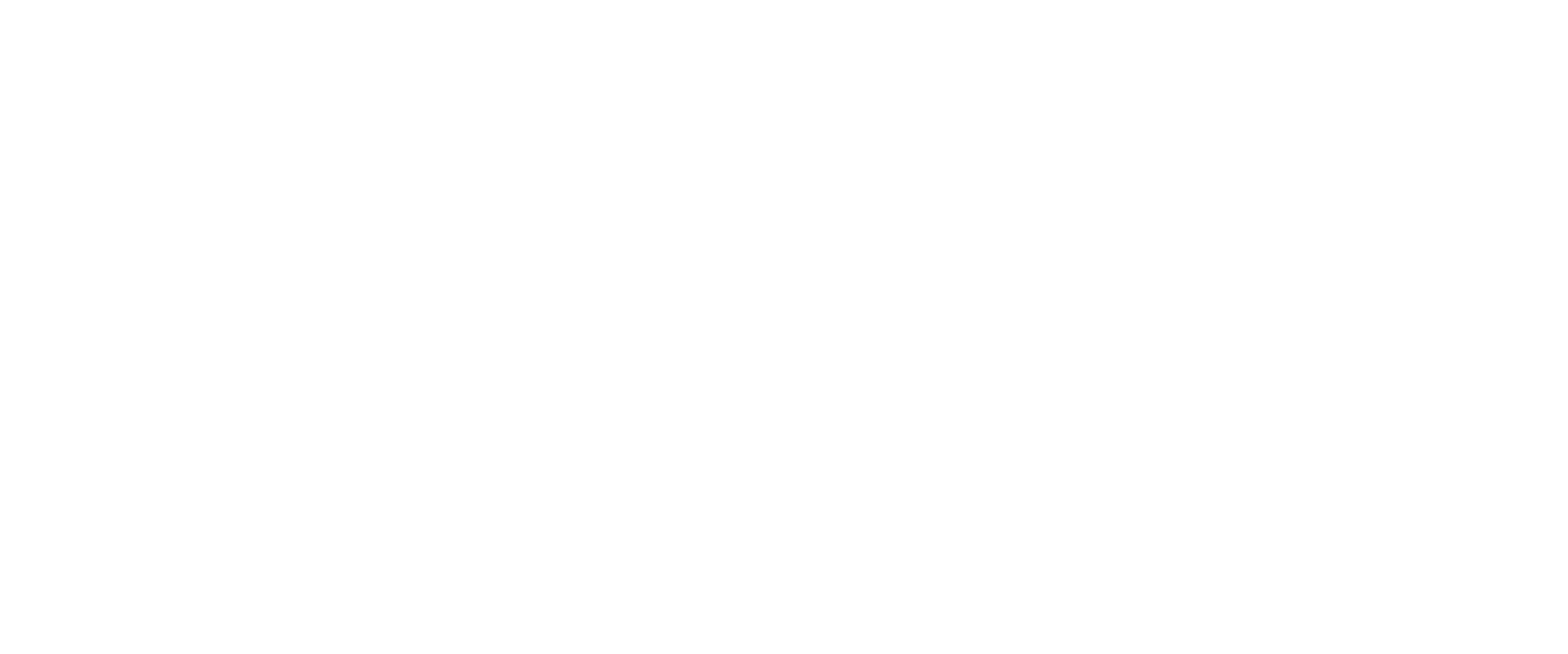 consultex IT logo